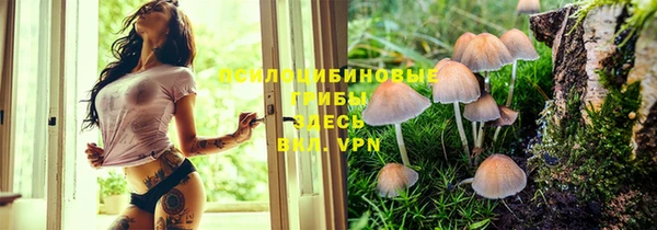 мескалин Аркадак
